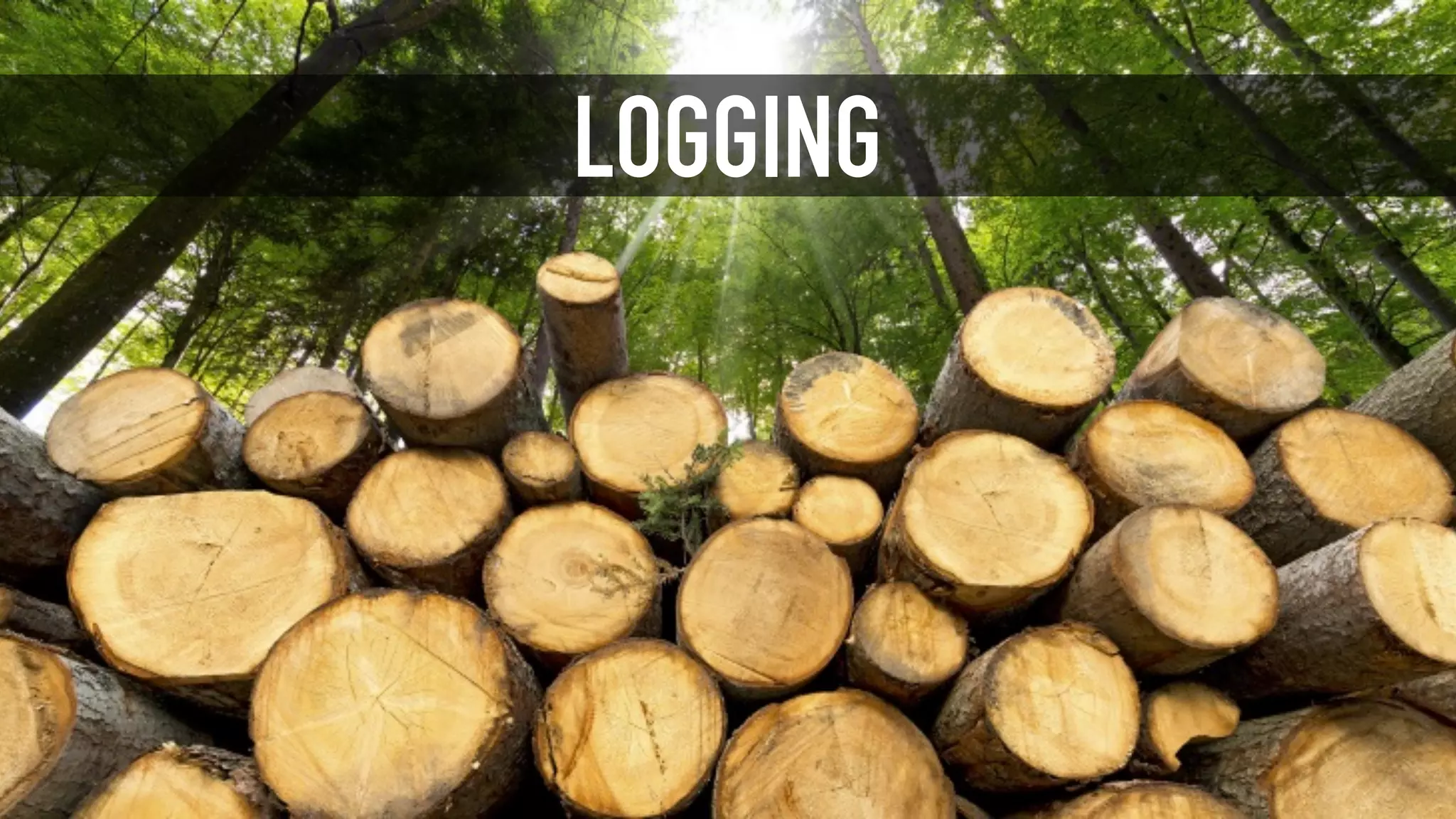 LOGGING
 