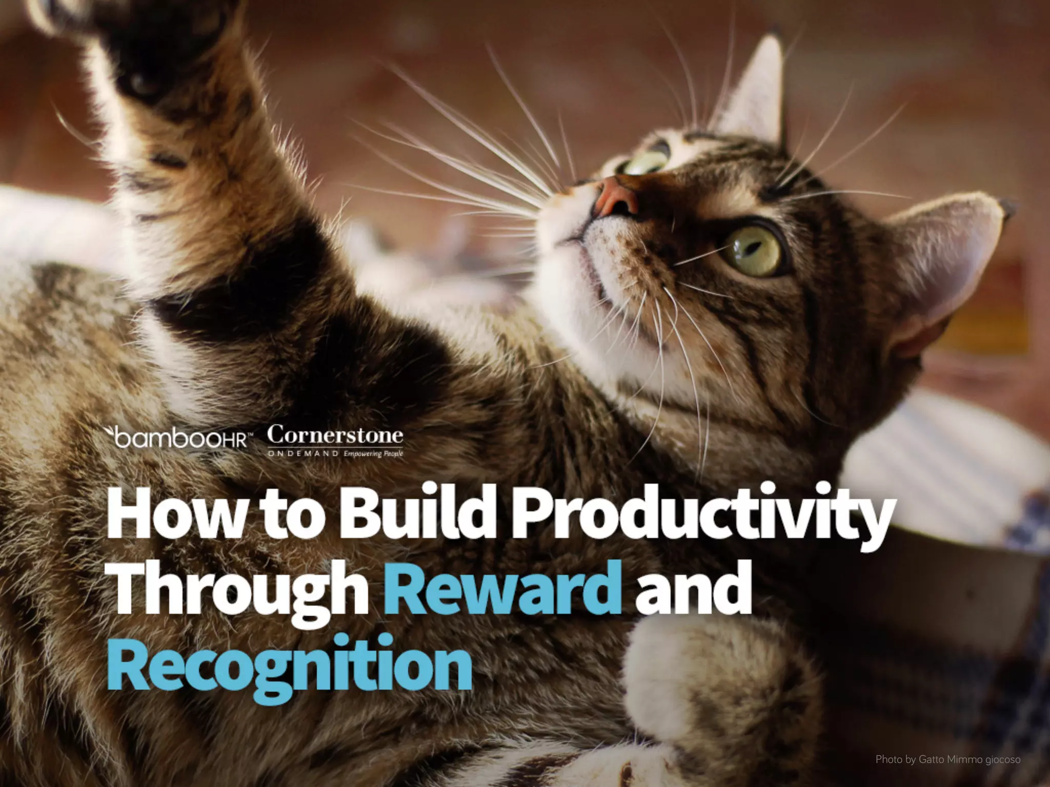 How to Build Productivity Through Reward and Recognition 
bamboohr.com cornerstonePhootno dbye Gmattao nMdim.mcoo gmioc oso 
 