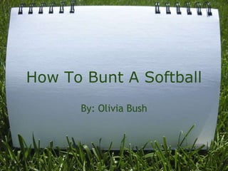 How To Bunt A Softball
      By: Olivia Bush
 