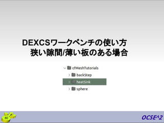 DEXCSワークベンチの使い方
狭い隙間/薄い板のある場合
80
 