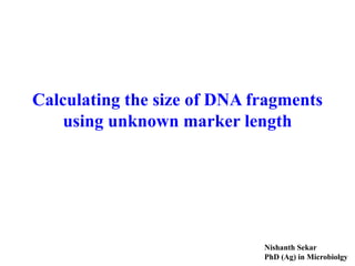 Calculating the size of DNA fragments
using unknown marker length
Nishanth Sekar
PhD (Ag) in Microbiolgy
 