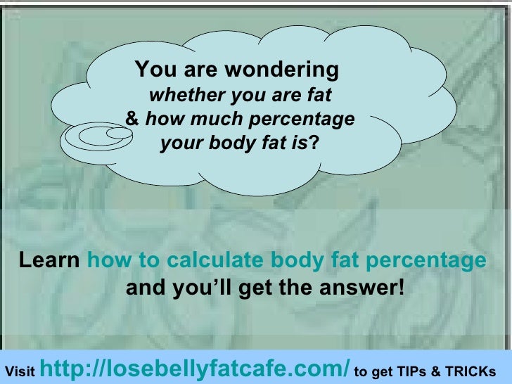 What organ deals with the fat in your body