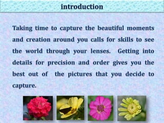 How to capture god creation through your lens