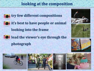 How to capture god creation through your lens