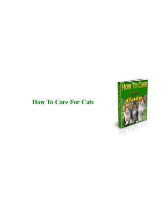 How To Care For Cats
 