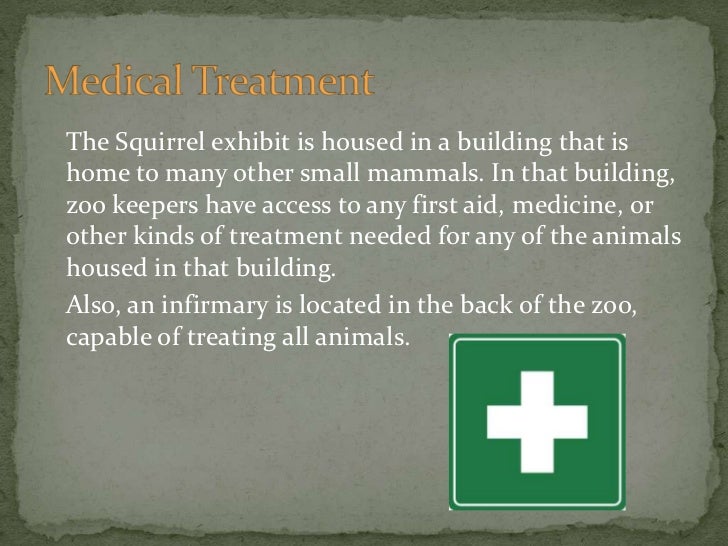 How to care for zoo animals