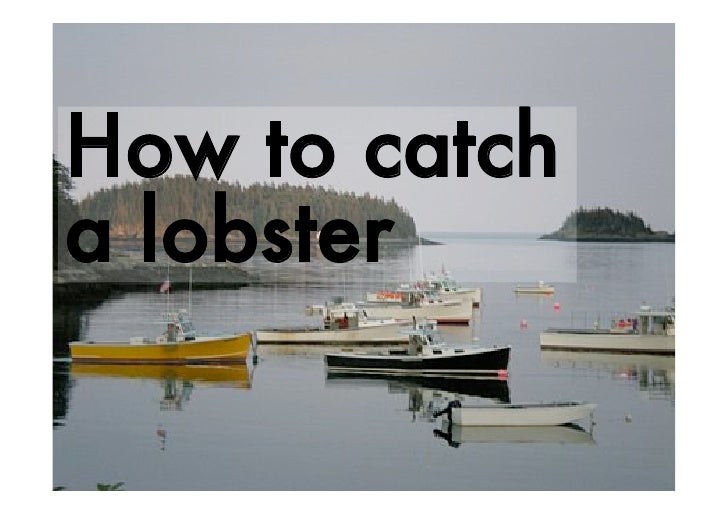 How To Catch A Lobster
