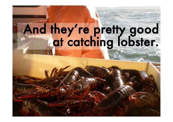 How To Catch A Lobster