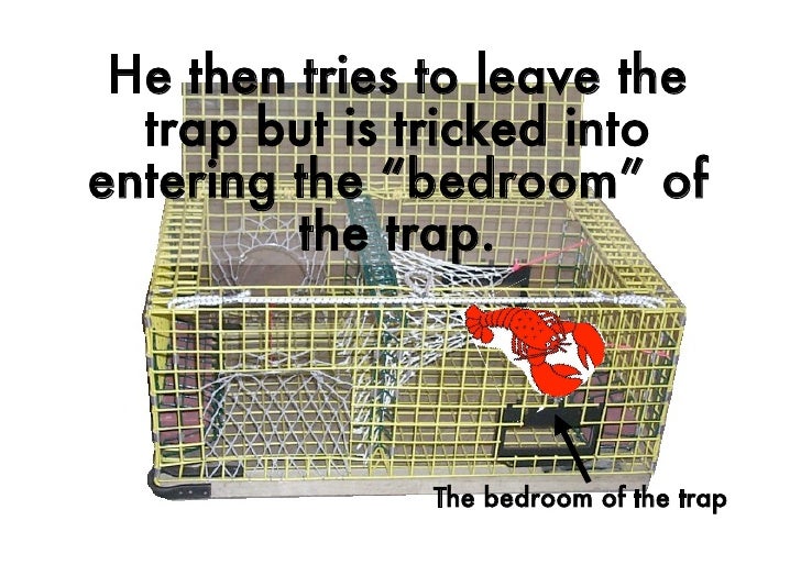 How To Catch A Lobster