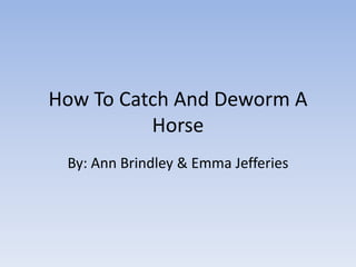 How To Catch And Deworm A Horse By: Ann Brindley & Emma Jefferies 