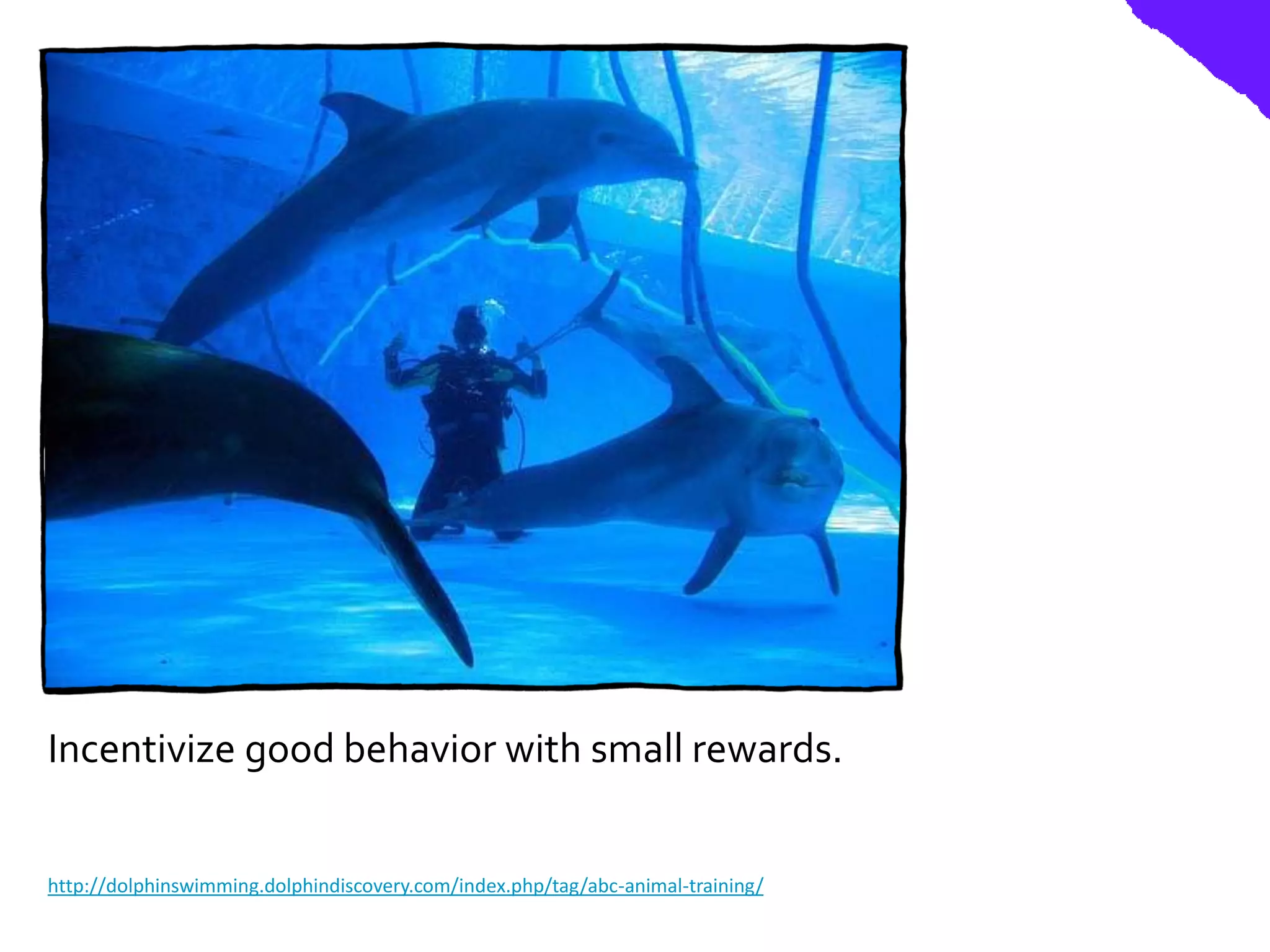 Incentivize good behavior with small rewards.


http://dolphinswimming.dolphindiscovery.com/index.php/tag/abc-animal-training/
 