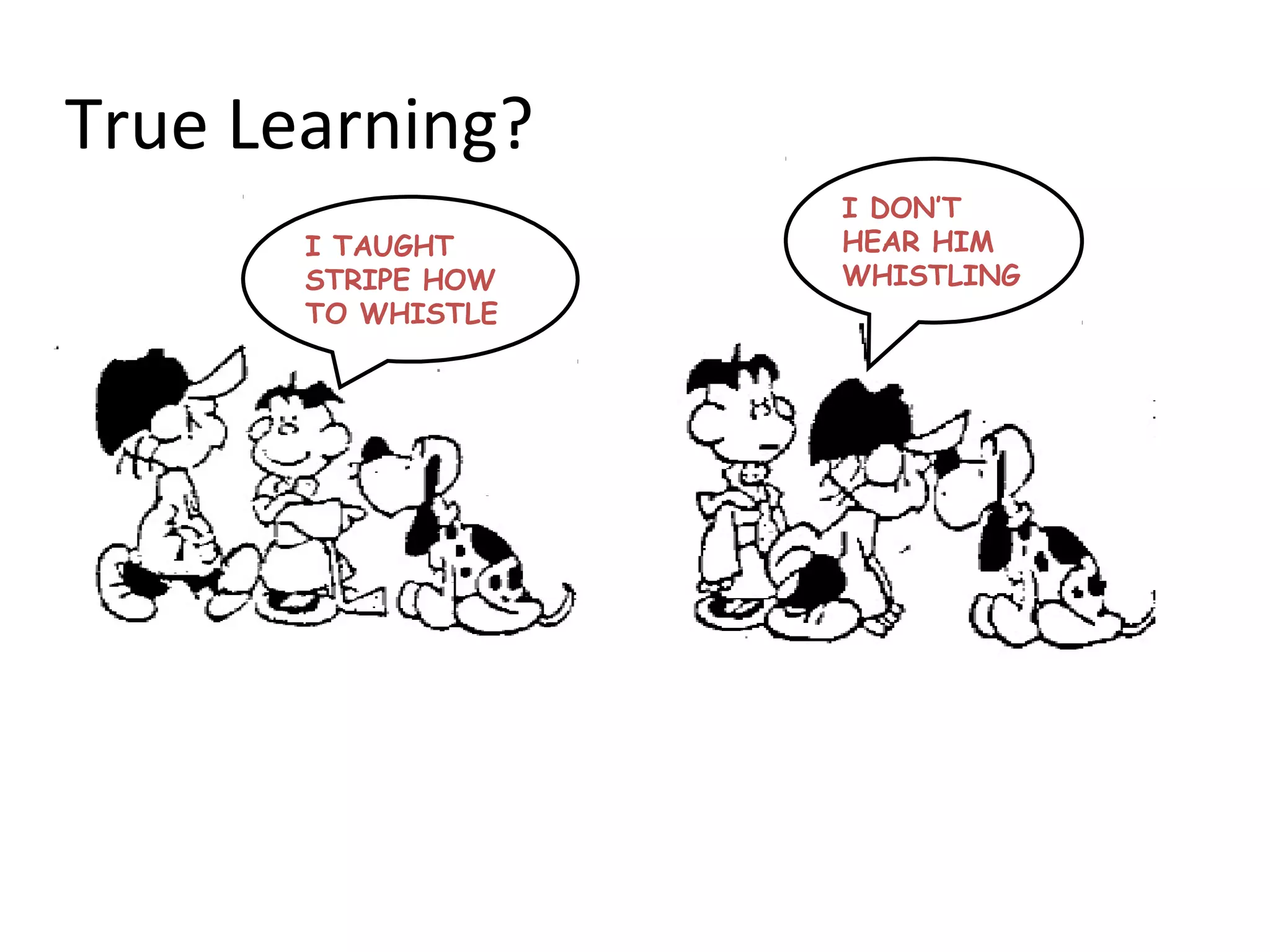 True Learning?
                    I DON’T
       I TAUGHT     HEAR HIM
       STRIPE HOW   WHISTLING
       TO WHISTLE
 