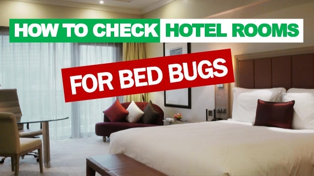 How To Check Hotel Rooms For Bed Bugs