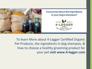To	
  learn	
  More	
  about	
  4-­‐Legger	
  Cer.ﬁed	
  Organic	
  
Pet	
  Products,	
  the	
  ingredients	
  in	
  dog	
  shampoo,	
  &	
  
how	
  to	
  choose	
  a	
  healthy	
  grooming	
  product	
  for	
  
your	
  pet	
  visit	
  www.4-­‐legger.com	
  
	
  
	
  
 