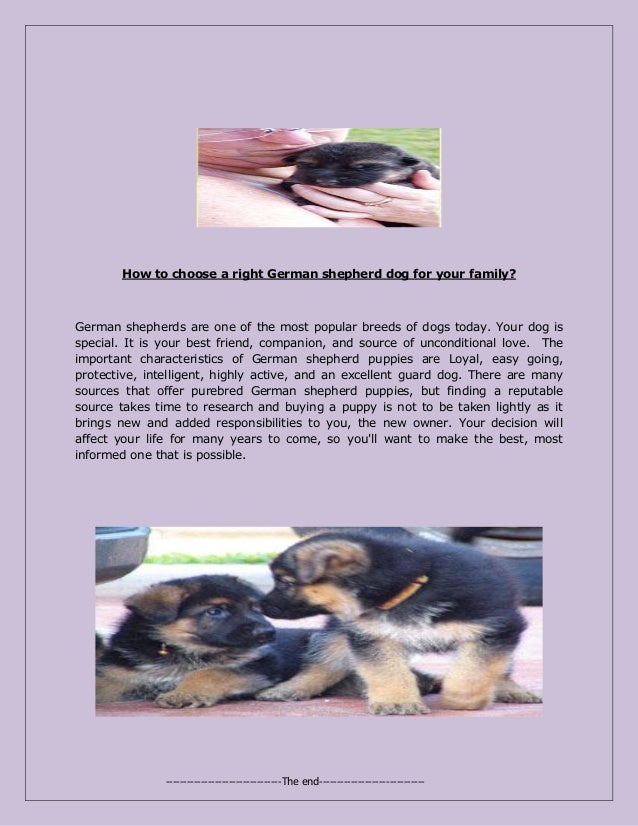 german shepherd is good for family