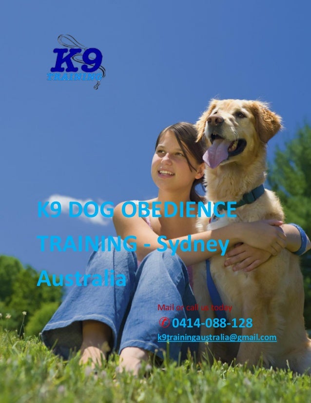 k9 dog obedience