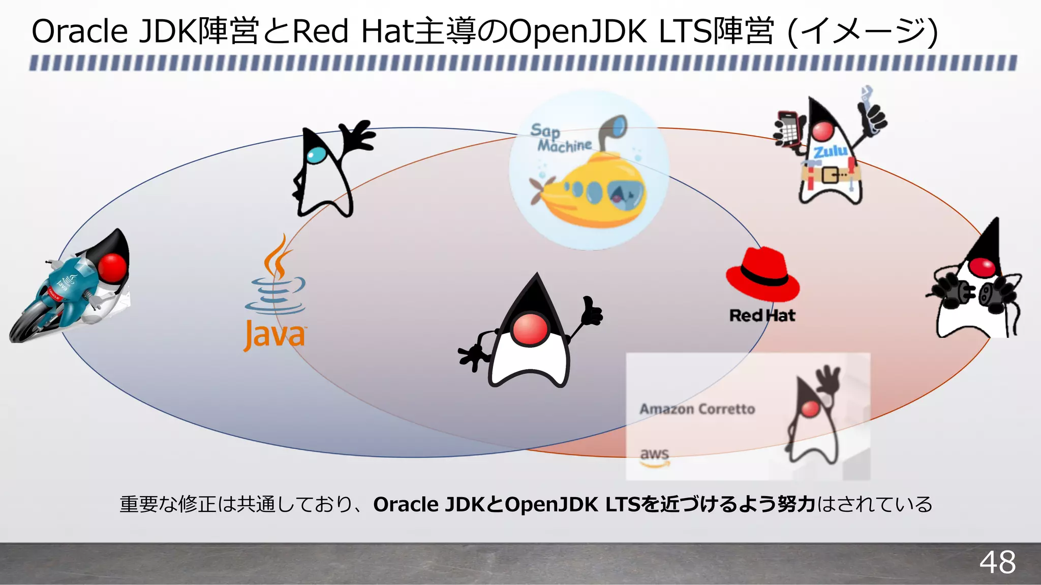 Oracle JDK陣営とRed Hat主導のOpenJDK LTS陣営 (イメージ)
重要な修正は共通しており、Oracle JDKとOpenJDK LTSを近づけるよう努⼒はされている
48
 