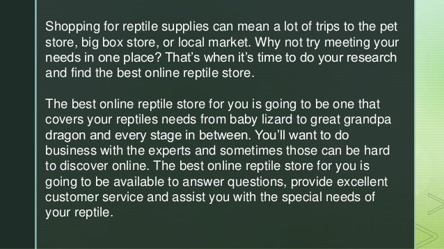 reptile supplies online