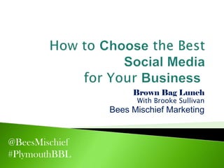 Brown Bag Lunch
                      With Brooke Sullivan
                Bees Mischief Marketing


@BeesMischief
#PlymouthBBL
 