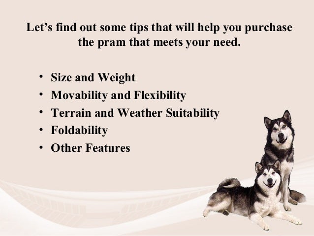 best prams for dog walking