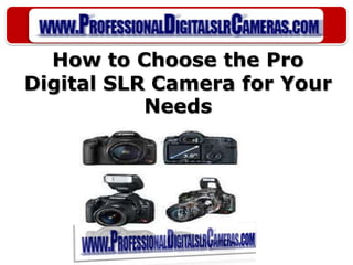 How to Choose the Pro Digital SLR Camera for Your Needs 