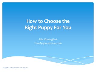 How to Choose the
Right Puppy For You
Mia Montagliani
YourDogNeedsYou.com
Copyright YourDogNeedsYou.com 2010-2014
 