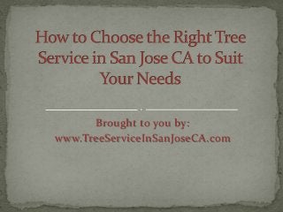 Brought to you by:
www.TreeServiceInSanJoseCA.com
 
