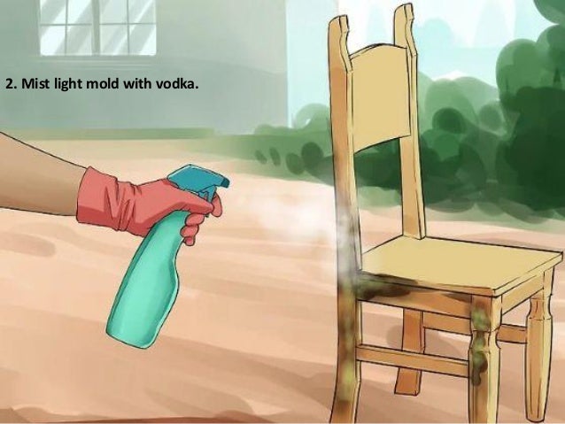 How To Cleaning Light Mold From Your Wood Furniture