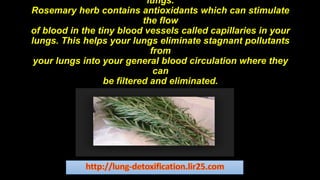 lungs.
Rosemary herb contains antioxidants which can stimulate
the flow
of blood in the tiny blood vessels called capillaries in your
lungs. This helps your lungs eliminate stagnant pollutants
from
your lungs into your general blood circulation where they
can
be filtered and eliminated.
 