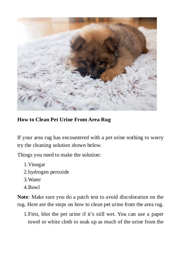 urine pet