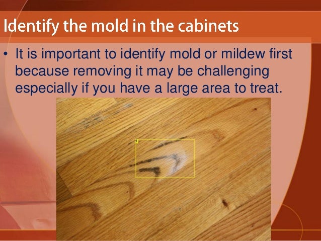 How To Clean Plywood Kitchen Cabinets
