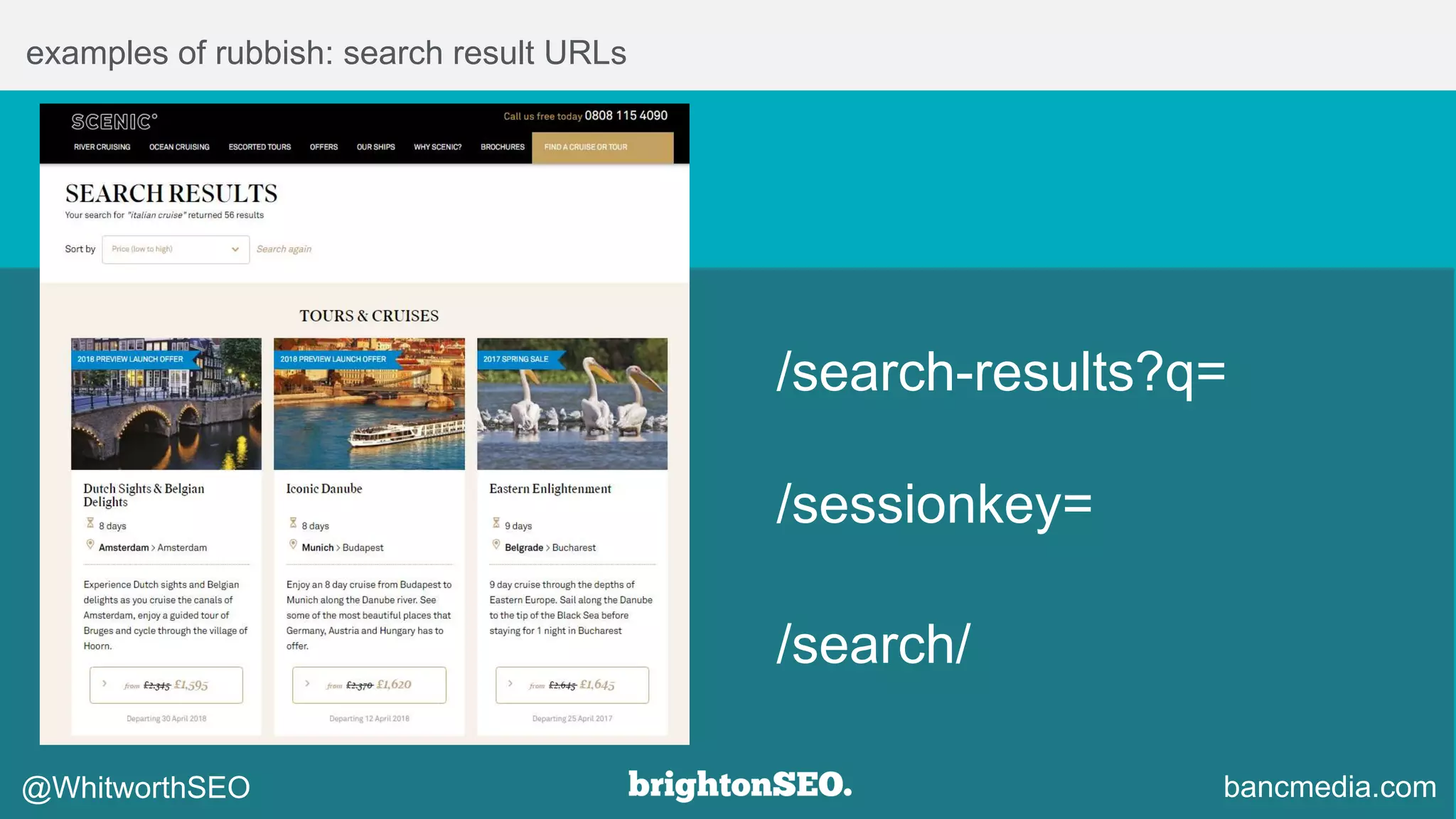 examples of rubbish: search result URLs
/search/
bancmedia.com@WhitworthSEO
/sessionkey=
/search-results?q=
 
