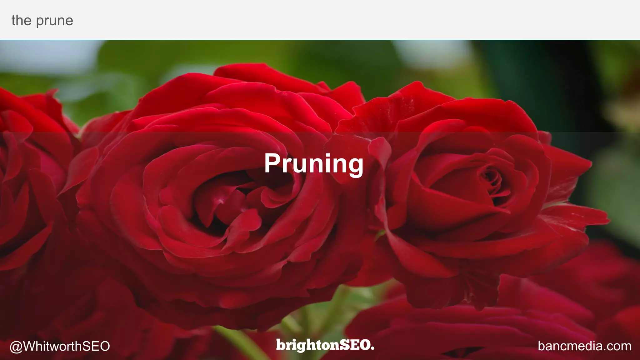 bancmedia.com@WhitworthSEO
Pruning
the prune
 