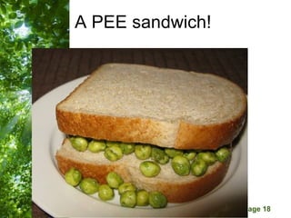 A PEE sandwich!




   Free Powerpoint Templates
                               Page 18
 