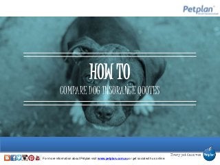 For more information about Petplan visit www.petplan.com.au or get social with us online.
HOW TO
COMPARE DOG INSURANCE QUOTES
 