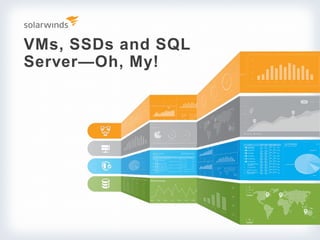 VMs, SSDs and SQL
Server—Oh, My!
 