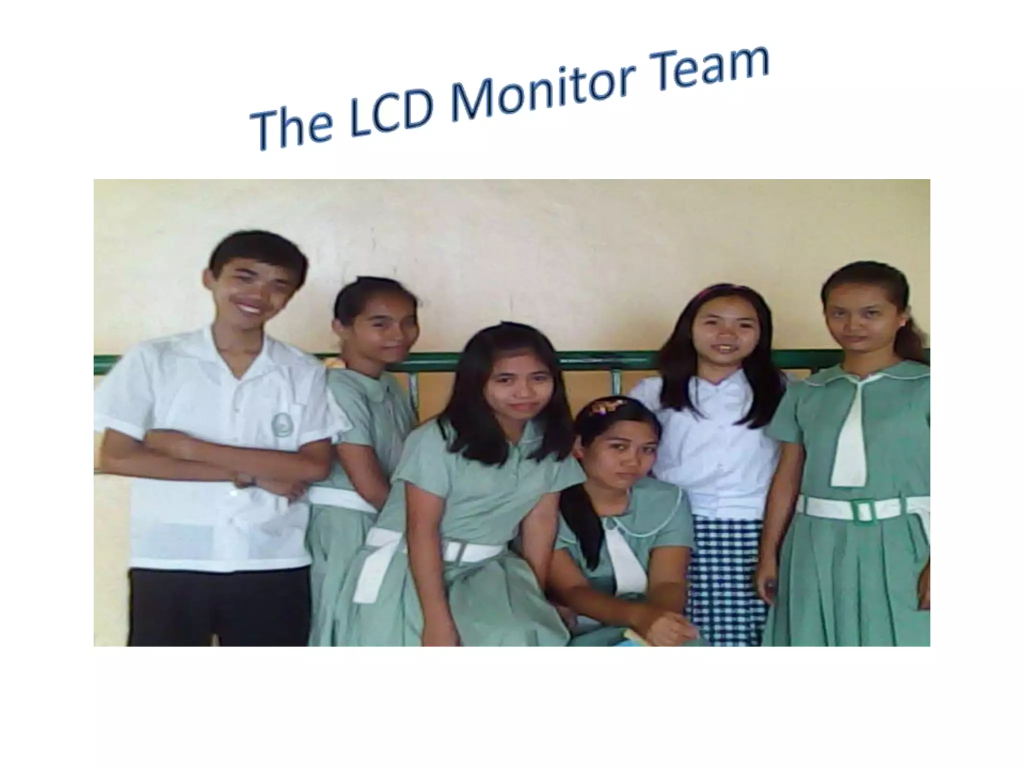 The LCD Monitor Team