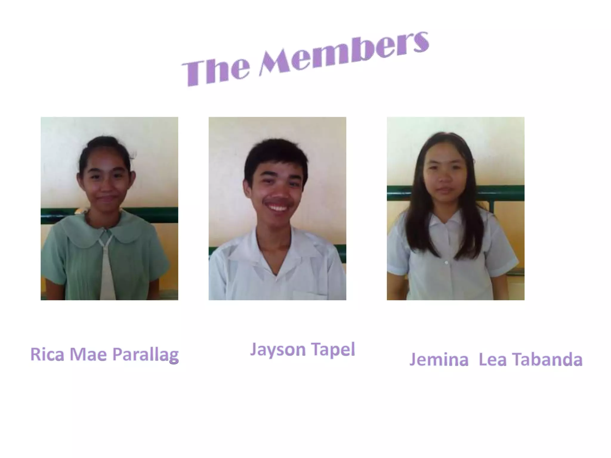 The MembersJayson TapelRica Mae ParallagJemina  Lea Tabanda