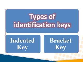 How to construct a key | PPT