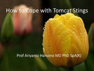How to Cope with Tomcat Stings

Prof Ariyanto Harsono MD PhD SpA(K)

 