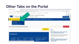 Other Tabs on the Portal
 