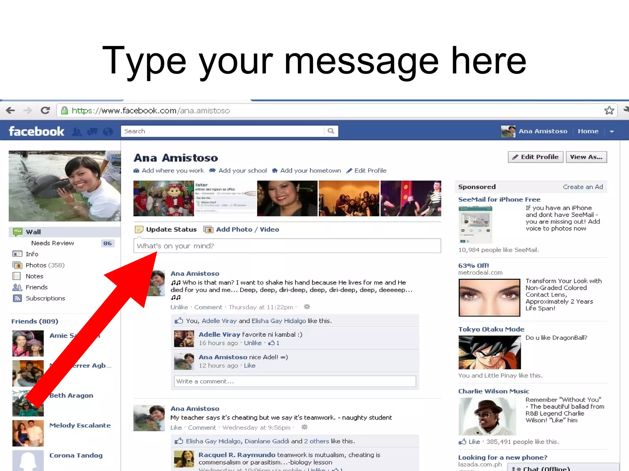 Type your message here