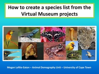 How to create a species list from the 
Virtual Museum projects 
Megan Loftie-Eaton – Animal Demography Unit – University of Cape Town 
 