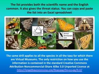 The list provides both the scientific name and the English 
common. It also gives the threat status. You can copy and paste 
the list into an Excel spreadsheet 
The same drill applies to all the species in all the taxa for which there 
are Virtual Museums. The only restriction on how you use the 
information is contained in the standard Creative Commons 
Attribution-Noncommercial-Share Alike 3.0 Unported License at 
 
