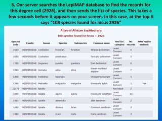 6. Our server searches the LepiMAP database to find the records for 
this degree cell (2926), and then sends the list of species. This takes a 
few seconds before it appears on your screen. In this case, at the top it 
says “108 species found for locus 2926” 
 