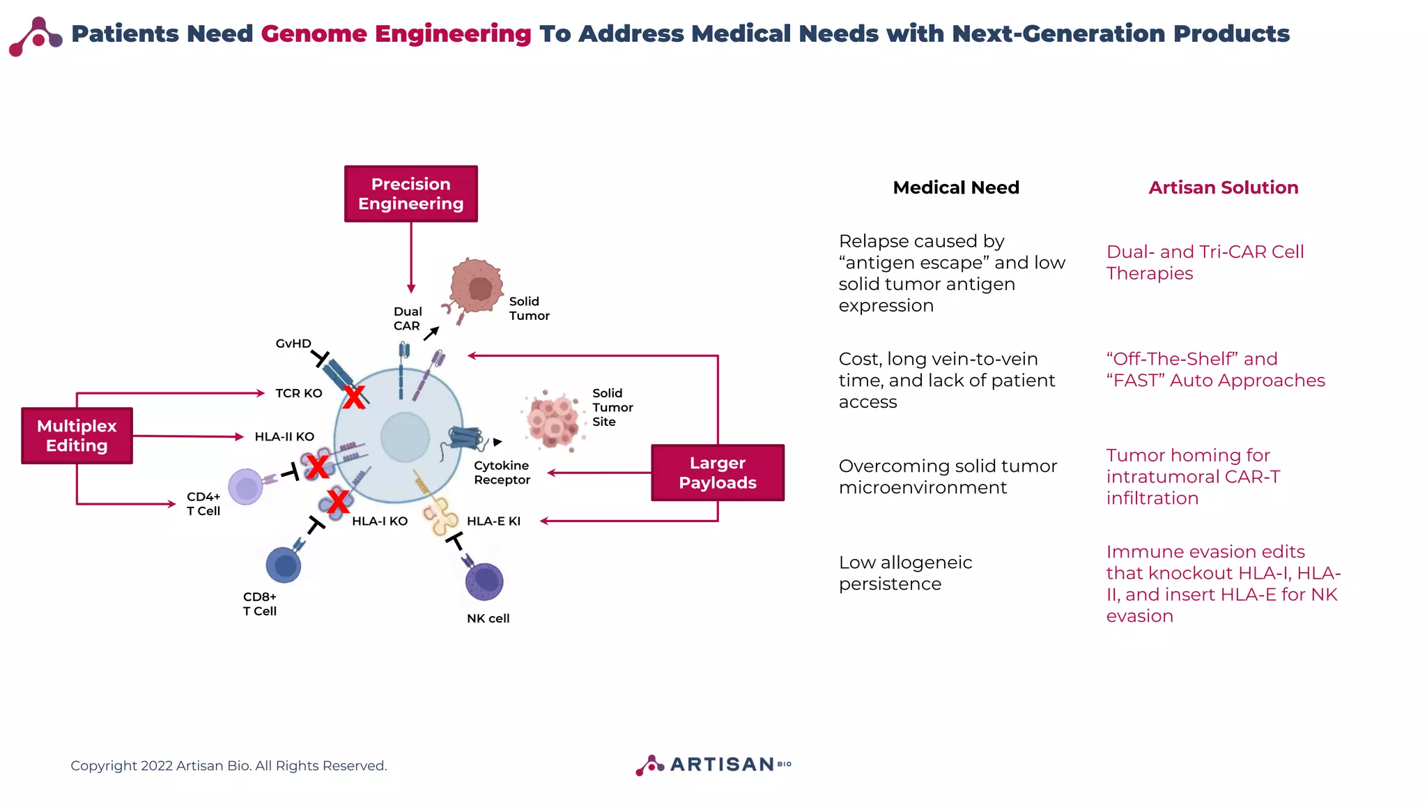 Copyright 2022 Artisan Bio. All Rights Reserved.
HLA-E KI
NK cell
HLA-I KO
HLA-II KO
CD8+
T Cell
CD4+
T Cell
GvHD
Cytokine
Receptor
Solid
Tumor
Site
TCR KO
Dual
CAR
Solid
Tumor
X
X
X
Multiplex
Editing
Precision
Engineering
Larger
Payloads
Patients Need Genome Engineering To Address Medical Needs with Next-Generation Products
Medical Need Artisan Solution
Relapse caused by
“antigen escape” and low
solid tumor antigen
expression
Dual- and Tri-CAR Cell
Therapies
Cost, long vein-to-vein
time, and lack of patient
access
“Off-The-Shelf” and
“FAST” Auto Approaches
Overcoming solid tumor
microenvironment
Tumor homing for
intratumoral CAR-T
infiltration
Low allogeneic
persistence
Immune evasion edits
that knockout HLA-I, HLA-
II, and insert HLA-E for NK
evasion
 