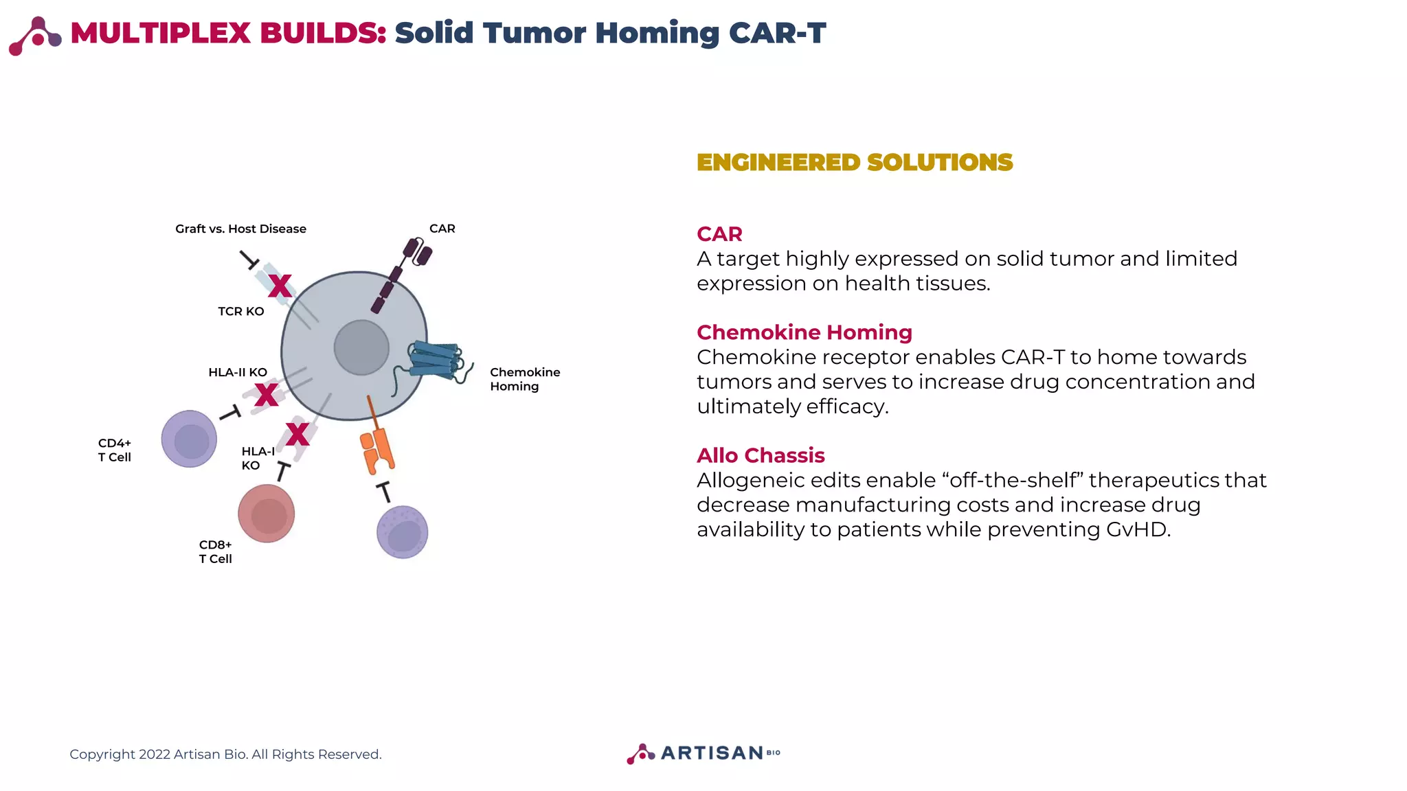 Copyright 2022 Artisan Bio. All Rights Reserved.
MULTIPLEX BUILDS: Solid Tumor Homing CAR-T
ENGINEERED SOLUTIONS
CAR
A target highly expressed on solid tumor and limited
expression on health tissues.
Chemokine Homing
Chemokine receptor enables CAR-T to home towards
tumors and serves to increase drug concentration and
ultimately efficacy.
Allo Chassis
Allogeneic edits enable “off-the-shelf” therapeutics that
decrease manufacturing costs and increase drug
availability to patients while preventing GvHD.
HLA-II KO
HLA-I
KO
TCR KO
Chemokine
Homing
CD4+
T Cell
CD8+
T Cell
CAR
Graft vs. Host Disease
X
X
X
 