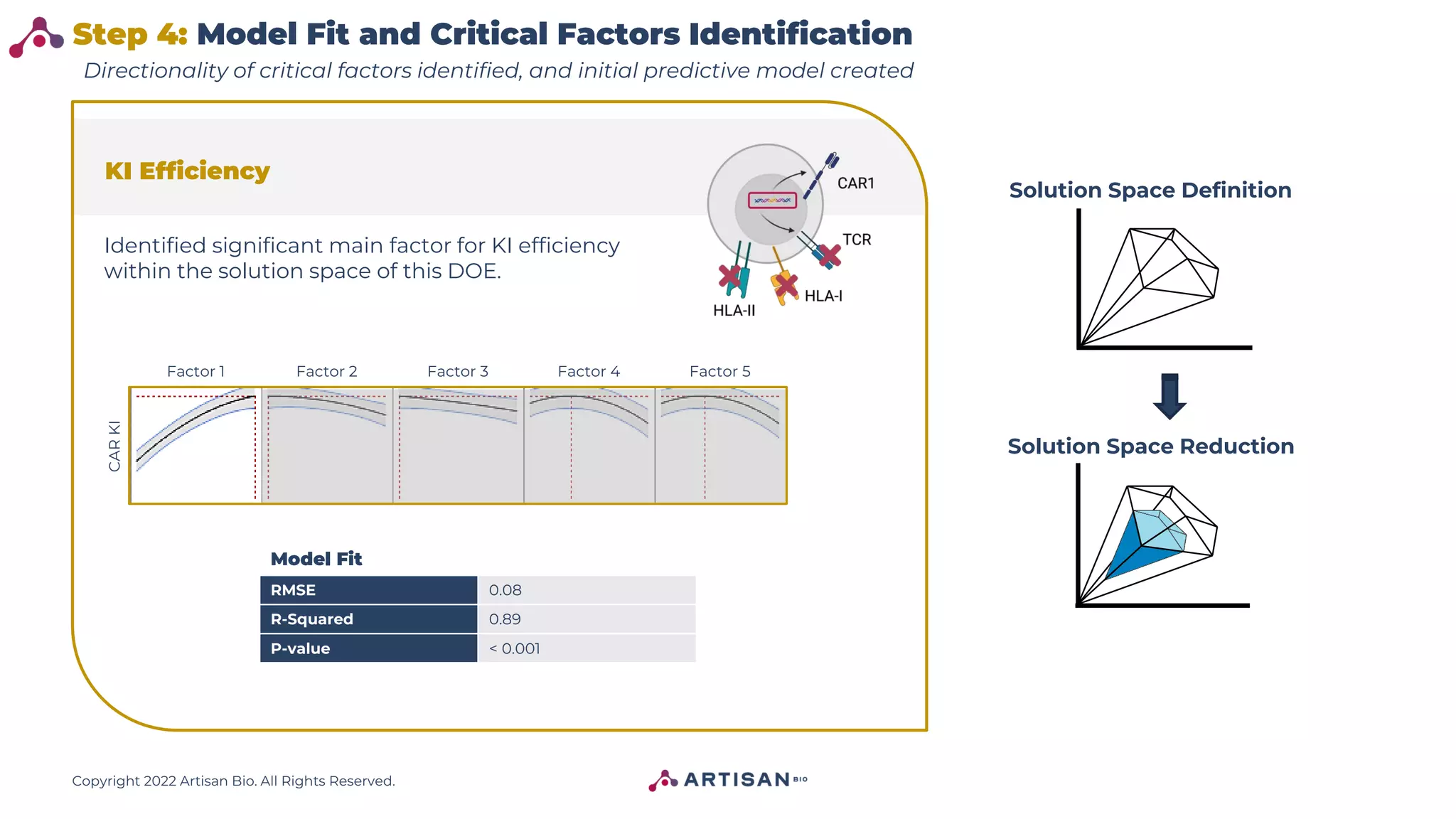 Copyright 2022 Artisan Bio. All Rights Reserved.
Step 4: Model Fit and Critical Factors Identification
CAR
KI
RMSE 0.08
R-Squared 0.89
P-value < 0.001
KI Efficiency
Model Fit
Directionality of critical factors identified, and initial predictive model created
Identified significant main factor for KI efficiency
within the solution space of this DOE.
Factor 1 Factor 2 Factor 3 Factor 4 Factor 5
Solution Space Definition
Solution Space Reduction
 