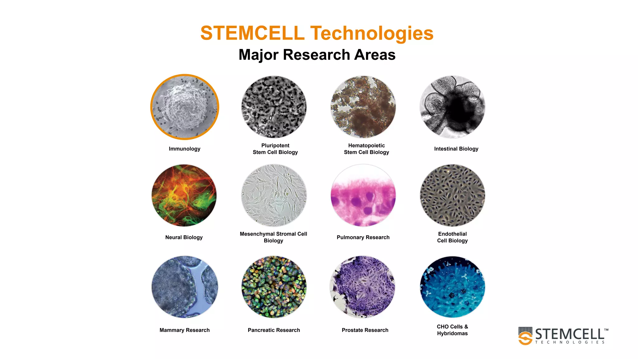 Immunology
Pluripotent
Stem Cell Biology
Hematopoietic
Stem Cell Biology
Intestinal Biology
Neural Biology
Endothelial
Cell Biology
Pulmonary Research
Mesenchymal Stromal Cell
Biology
Mammary Research Pancreatic Research
CHO Cells &
Hybridomas
Prostate Research
STEMCELL Technologies
Major Research Areas
 