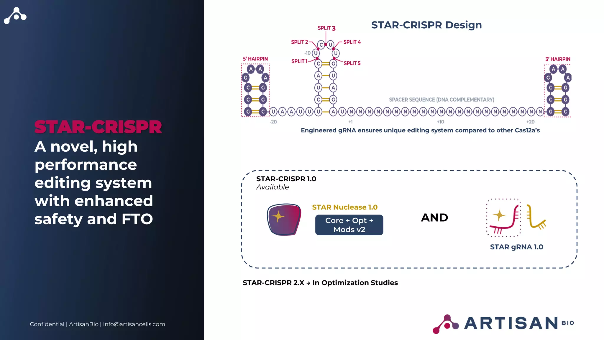 Confidential | ArtisanBio | info@artisancells.com
STAR-CRISPR
A novel, high
performance
editing system
with enhanced
safety and FTO
STAR-CRISPR Design
3
Engineered gRNA ensures unique editing system compared to other Cas12a’s
STAR-CRISPR 1.0
Available
AND
Core + Opt +
Mods v2
STAR Nuclease 1.0
STAR gRNA 1.0
STAR-CRISPR 2.X → In Optimization Studies
 